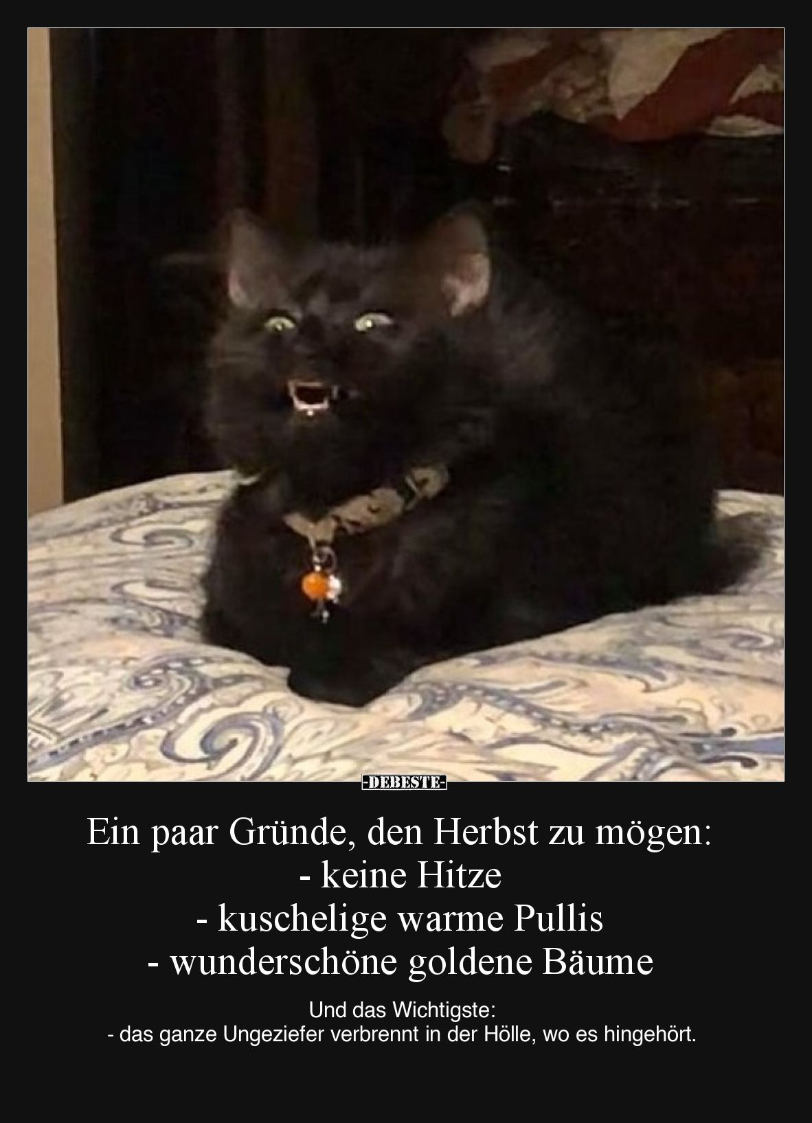 Ein paar Gründe, den Herbst zu mögen:
- keine Hitze
- kuschelige warme Pullis
- wunderschöne goldene Bäume

Und das Wich...