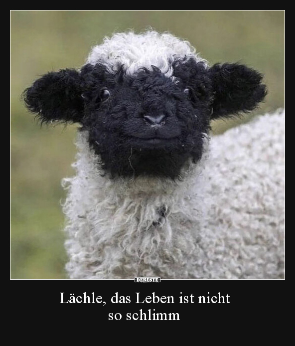 Lächle, das Leben ist nicht so schlimm.. - Lustige Bilder | DEBESTE.de