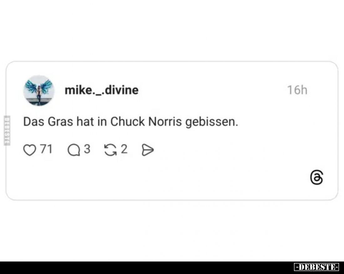 Das Gras hat in Chuck Norris gebissen.