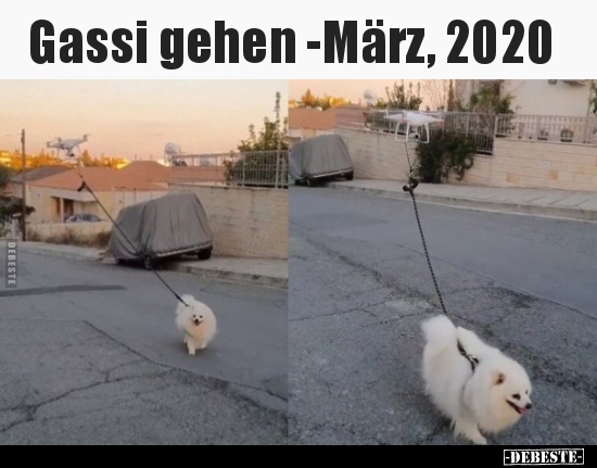 Gassi gehen -März, 2020.. - Lustige Bilder | DEBESTE.de