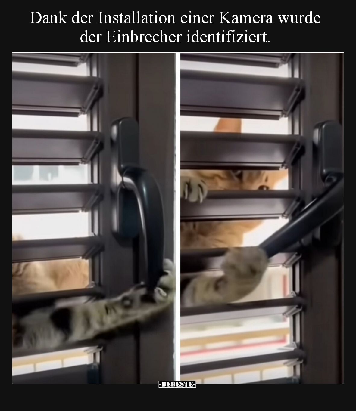 Dank der Installation einer Kamera wurde der Einbrecher identifiziert.