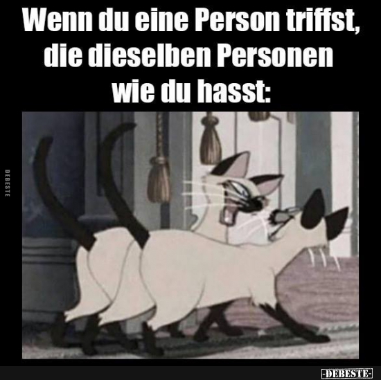 Wenn du eine Person triffst, die dieselben Personen.. - Lustige Bilder | DEBESTE.de