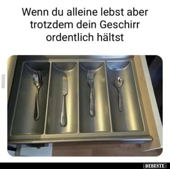 Wenn du alleine lebst aber trotzdem dein Geschirr.. - Lustige Bilder | DEBESTE.de