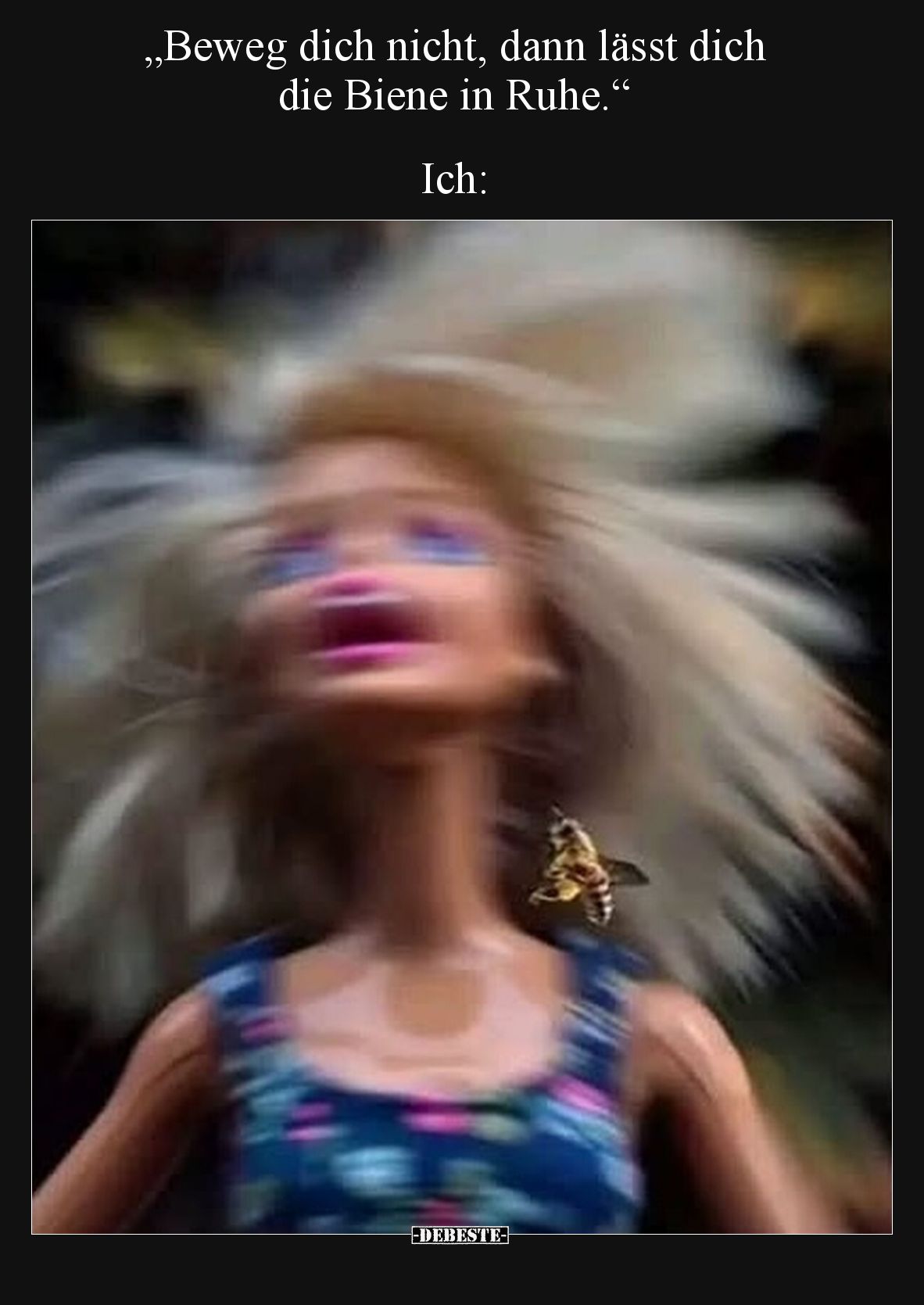 „Beweg dich nicht, dann lässt dich die Biene in Ruhe.“


Ich: