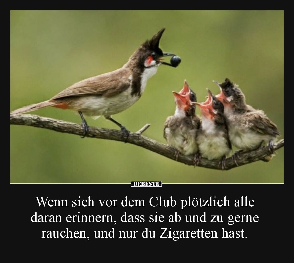 Wenn sich vor dem Club plötzlich alle daran erinnern, dass sie ab und zu gerne rauchen, und nur du Zigaretten hast.