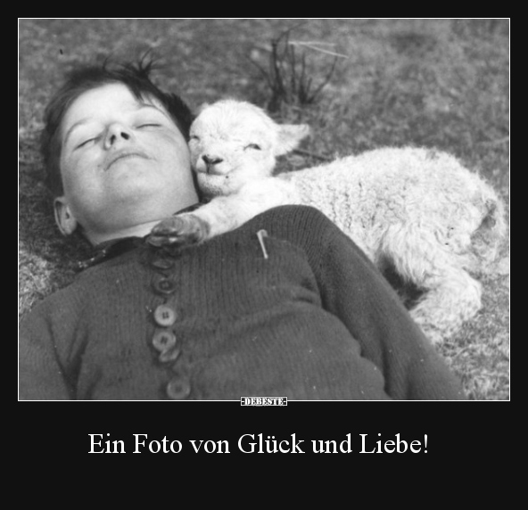 Foto, Glück, Liebe