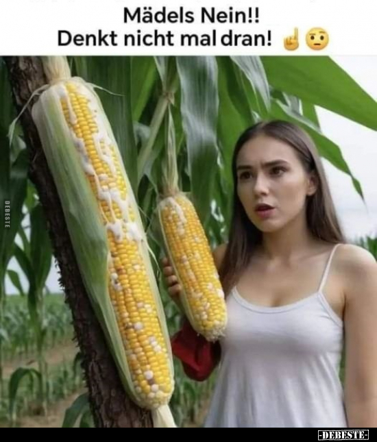 Mädels Nein!! Denkt nicht mal dran!.. - Lustige Bilder | DEBESTE.de