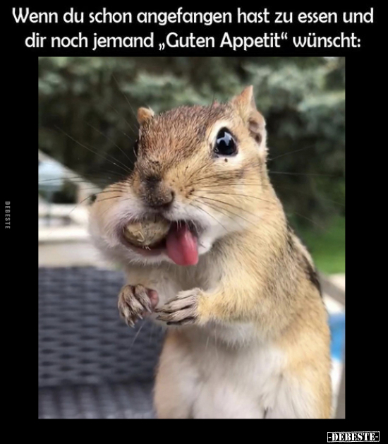 Wenn du schon angefangen hast zu essen und dir noch.. - Lustige Bilder | DEBESTE.de