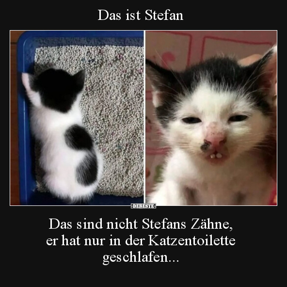 Das ist Stefan.. - Lustige Bilder | DEBESTE.de
