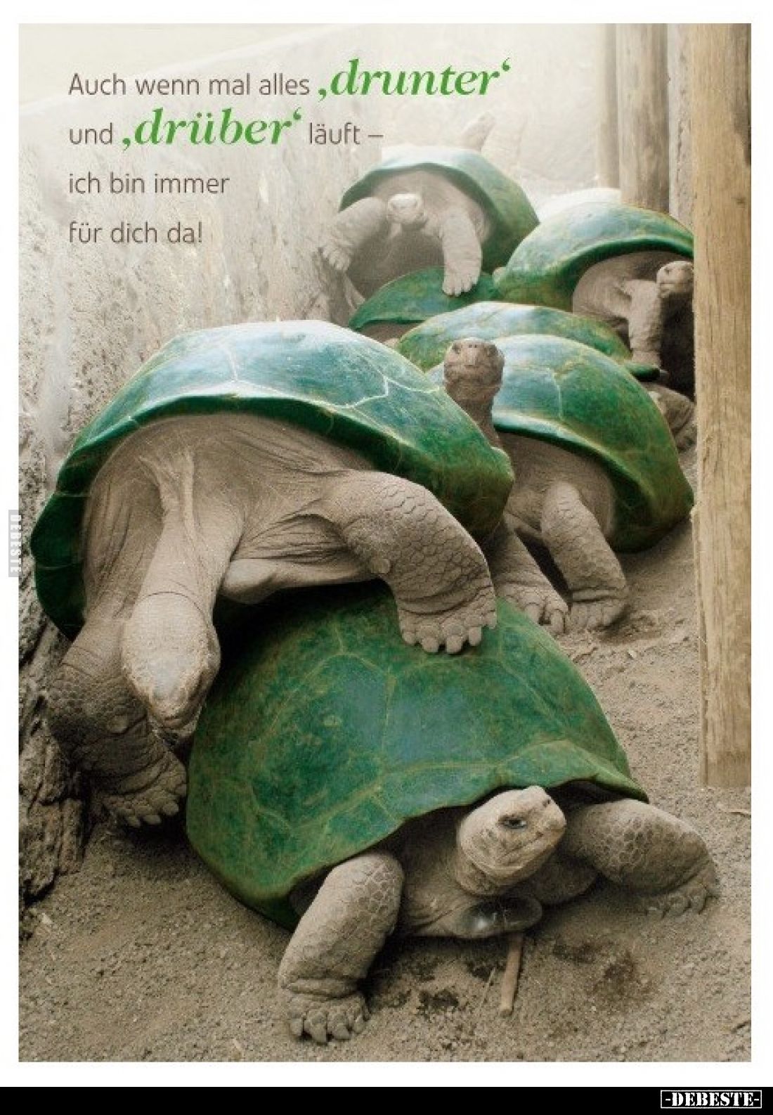 Auch wenn mal alles "drunter" und "drüber" läuft -
ich bin immer für dich da!