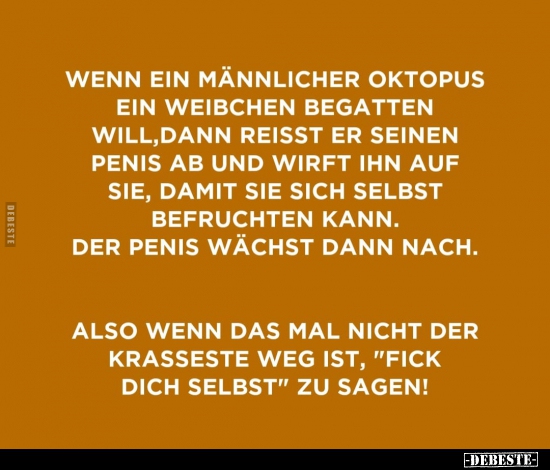 Wenn ein männlicher Oktopus ein weiblichen begatten will.. - Lustige Bilder | DEBESTE.de