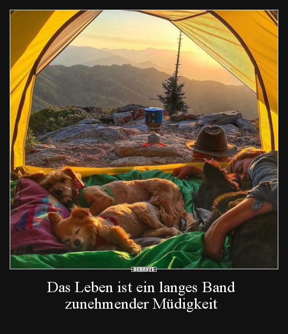Das Leben ist ein langes Band zunehmender Müdigkeit..