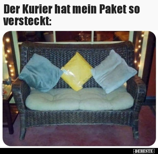 Der Kurier hat mein Paket so versteckt.. - Lustige Bilder | DEBESTE.de