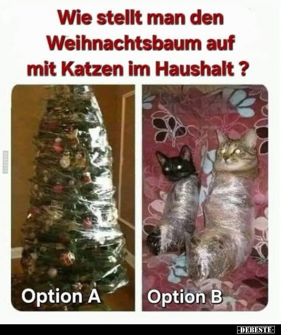 Wie stellt man den Weihnachtsbaum auf mit Katzen im.. - Lustige Bilder | DEBESTE.de