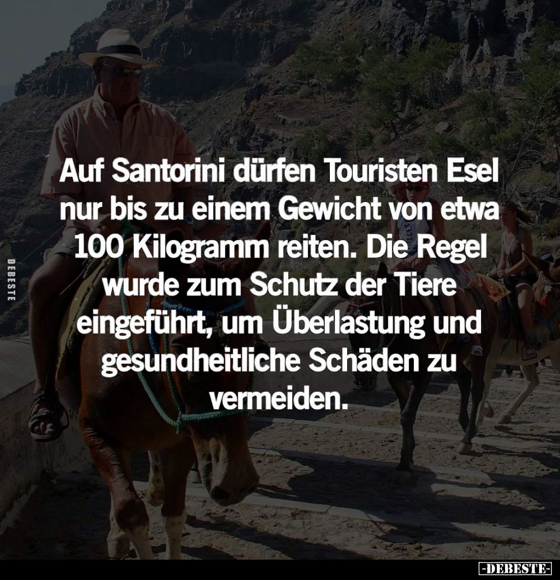 Auf Santorini dürfen Touristen Esel... - Lustige Bilder | DEBESTE.de