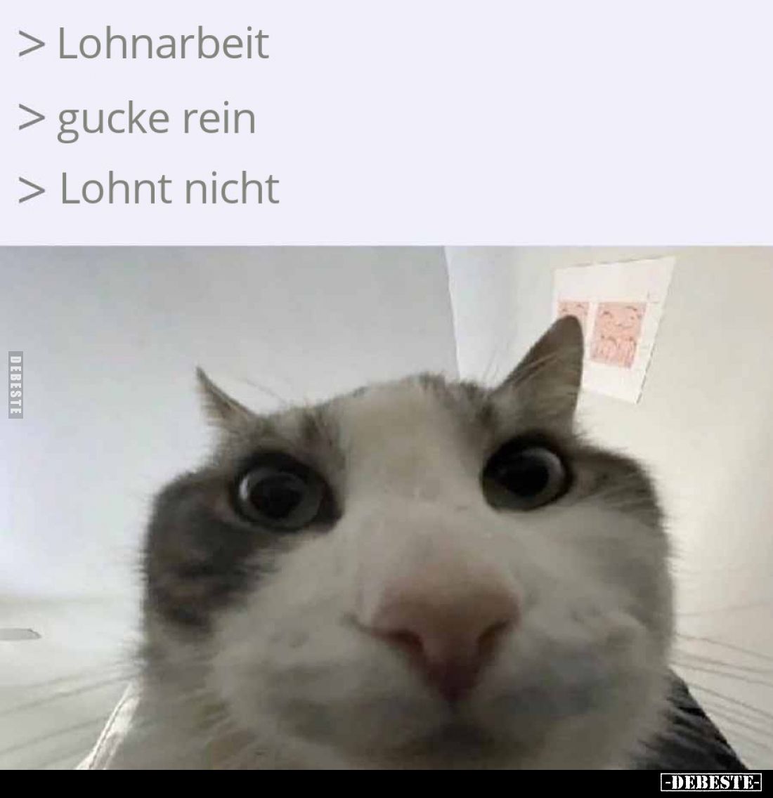 > Lohnarbeit
> gucke rein
> Lohnt nicht
