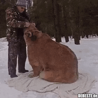  - Lustige Bilder | DEBESTE.de