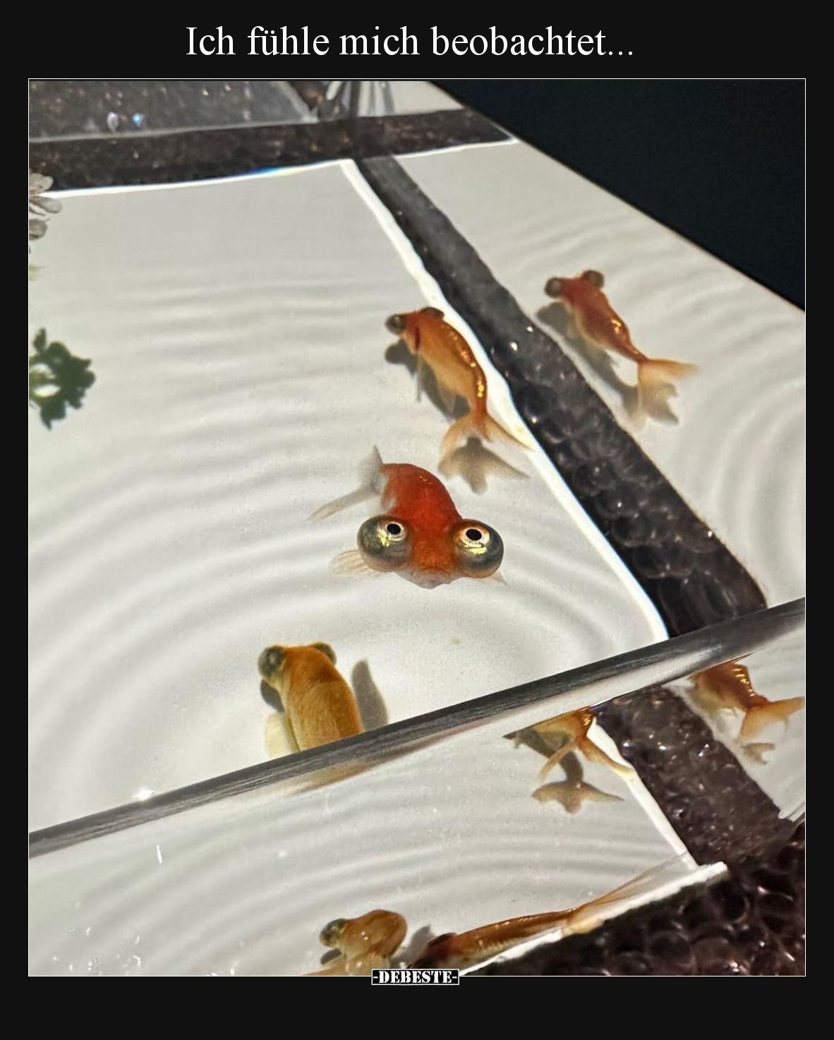 Ich fühle mich beobachtet.