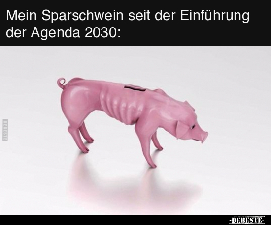 Mein Sparschwein seit der Einführung der Agenda 2030.. - Lustige Bilder | DEBESTE.de