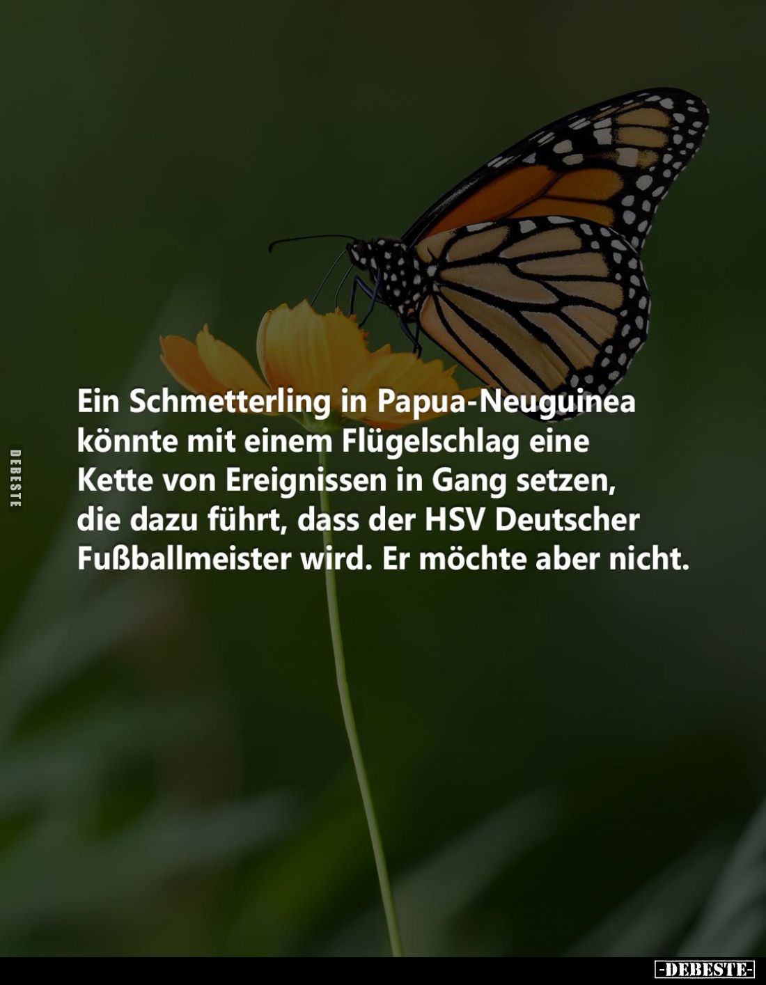 Ein Schmetterling in Papua-Neuguinea könnte mit einem Flügelschlag eine Kette von Ereignissen in Gang setzen, die dazu führt,...