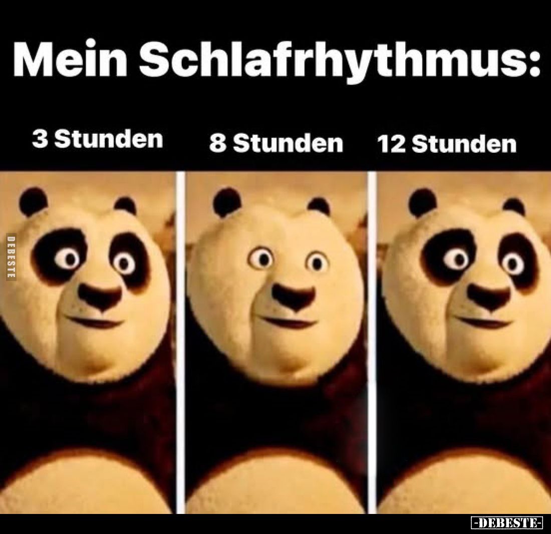 Mein Schlafrhythmus:
3 Stunden / 8 Stunden / 12 Stunden