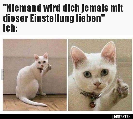 "Niemand wird dich jemals mit dieser Einstellung.." - Lustige Bilder | DEBESTE.de