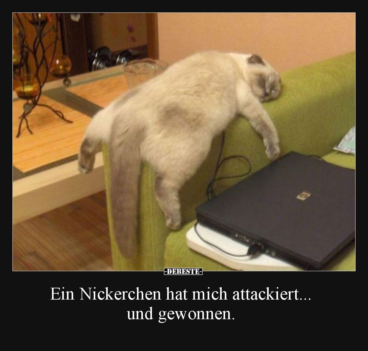 Ein Nickerchen hat mich attackiert... und gewonnen.