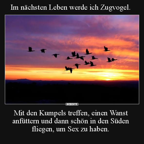 Im nächsten Leben werde ich Zugvogel.. - Lustige Bilder | DEBESTE.de