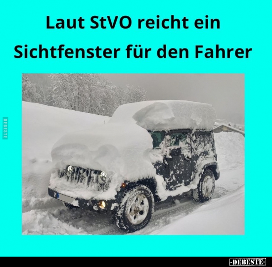 Laut StVO reicht ein Sichtfenster für den Fahrer.. - Lustige Bilder | DEBESTE.de