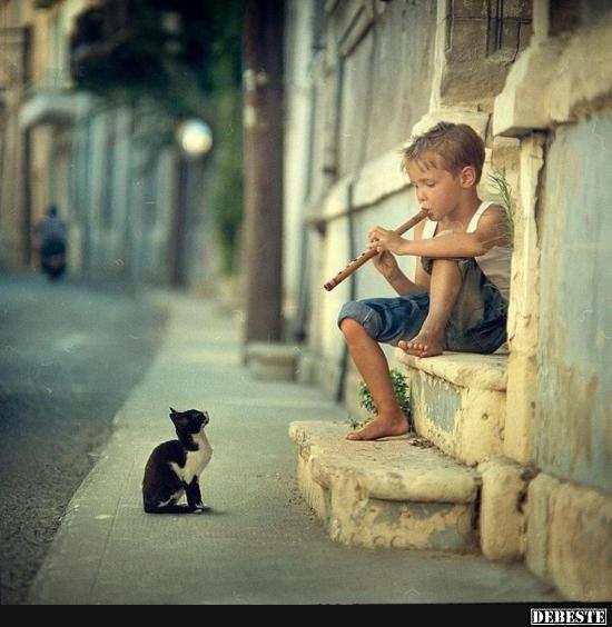 Ein Künstler spielt für seinen größten Fan