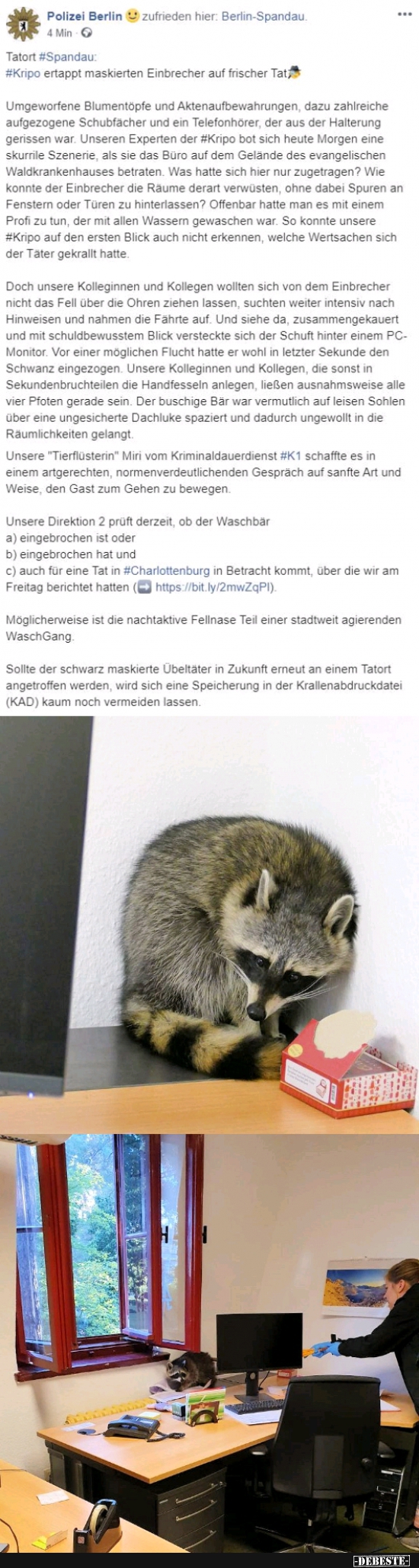 Panda, Einbrecher, Tatort