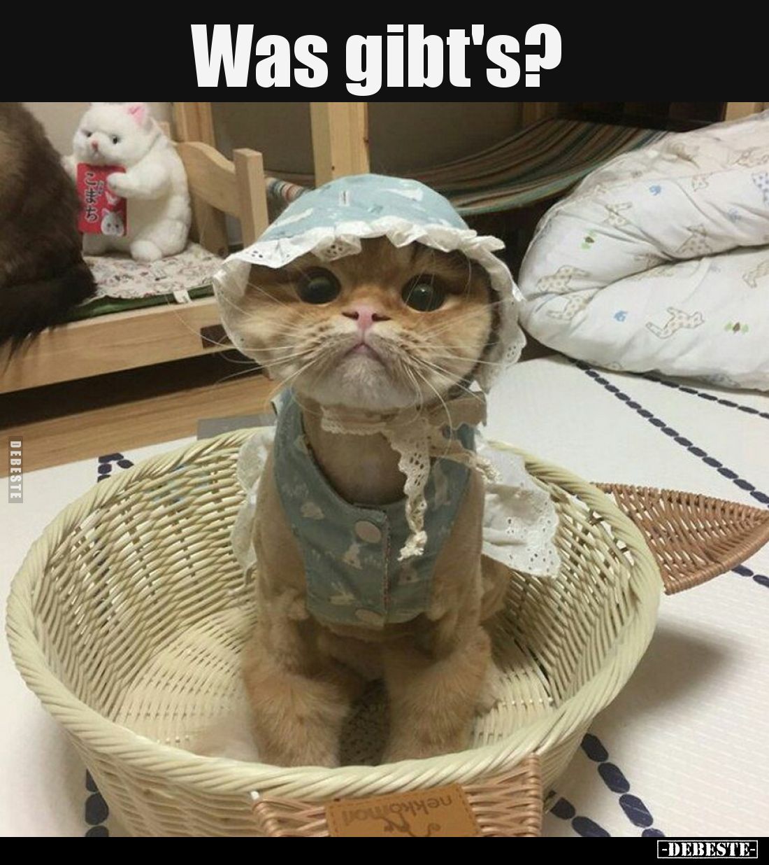 Was gibt's?.. - Lustige Bilder | DEBESTE.de