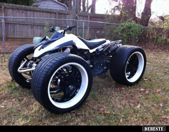  - Lustige Bilder | DEBESTE.de