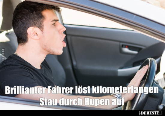 Brillianter Fahrer löst kilometerlangen Stau durch Hupen.. - Lustige Bilder | DEBESTE.de