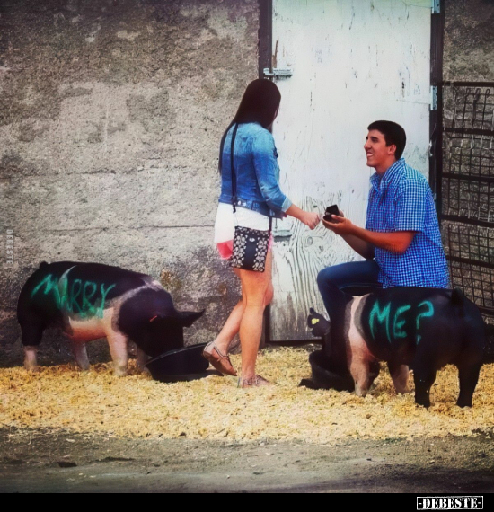  - Lustige Bilder | DEBESTE.de