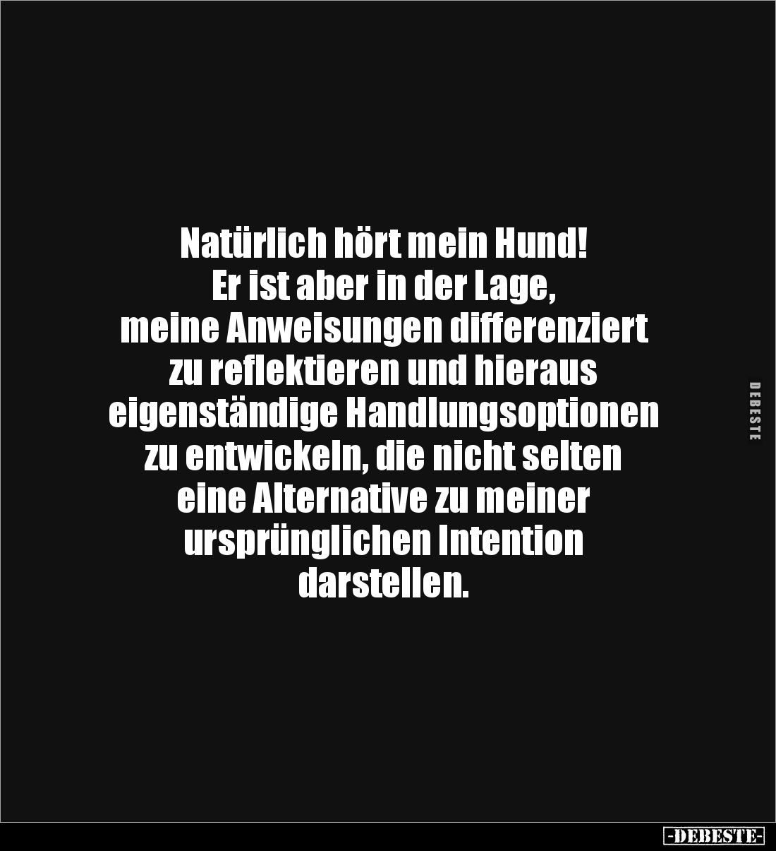 Natürlich hört mein Hund! 
Er ist aber in der Lage, 
meine Anweisungen differenziert 
zu reflektieren und hieraus 
eigens...