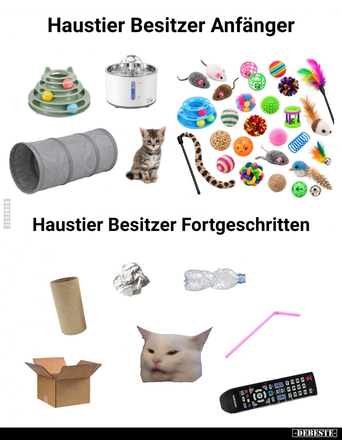 Haustier Besitzer Anfänger.
-
Haustier Besitzer Fortgeschritten.