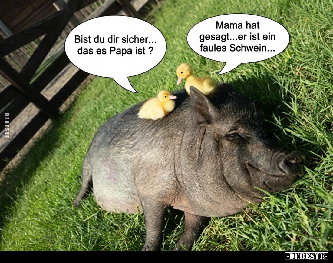 Bist du dir sicher... das es Papa ist? -
Mama hat gesagt... er ist ein faules Schwein...
