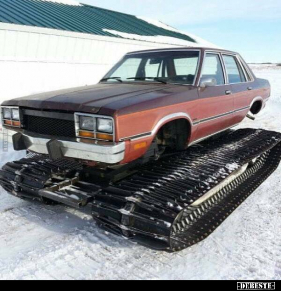  - Lustige Bilder | DEBESTE.de