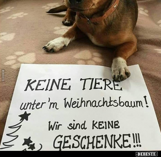 Keine Tiere unter'm Weihnachtsbaum!.. - Lustige Bilder | DEBESTE.de