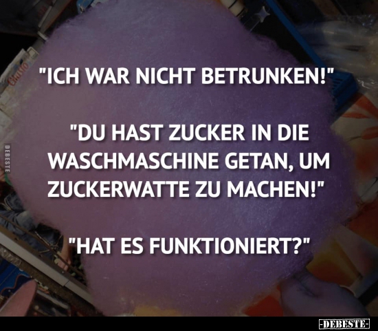 "Ich war nicht betrunken!"... - Lustige Bilder | DEBESTE.de