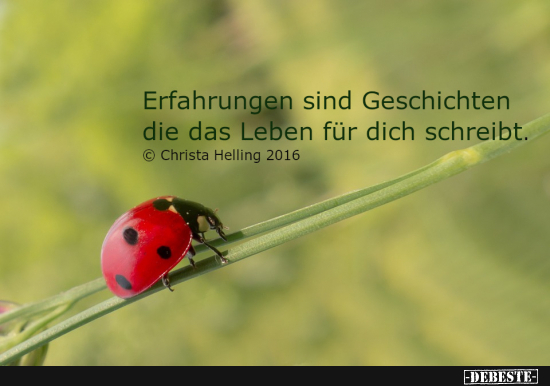  - Lustige Bilder | DEBESTE.de