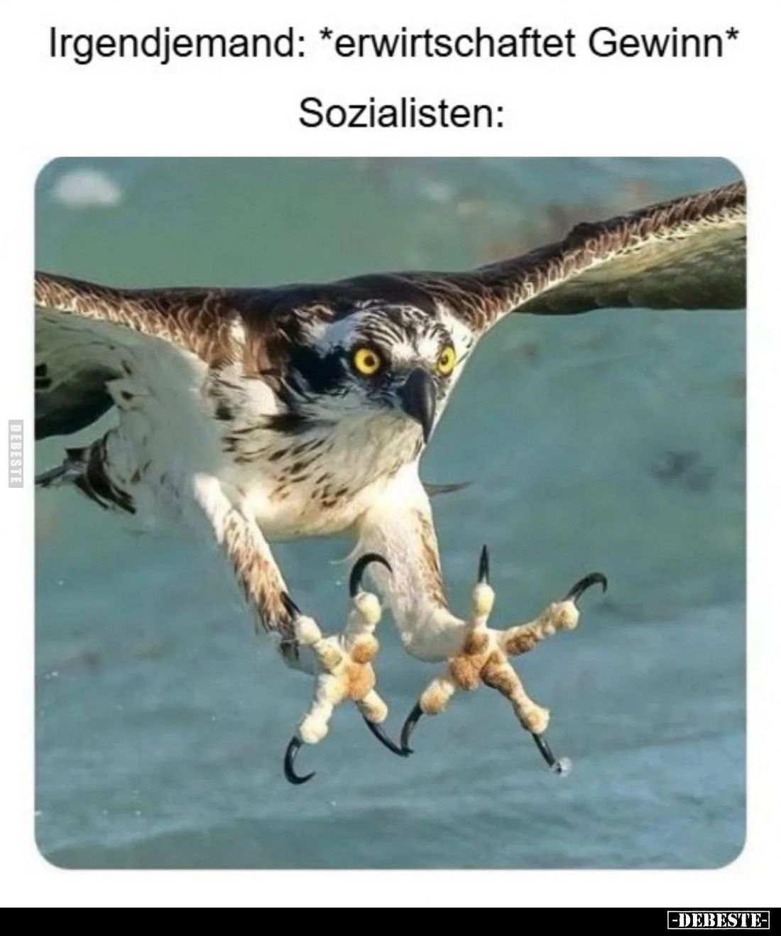 Irgendjemand: *erwirtschaftet Gewinn* 
Sozialisten: