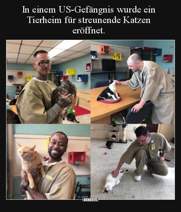 In einem US-Gefängnis wurde ein Tierheim für streunende.. - Lustige Bilder | DEBESTE.de