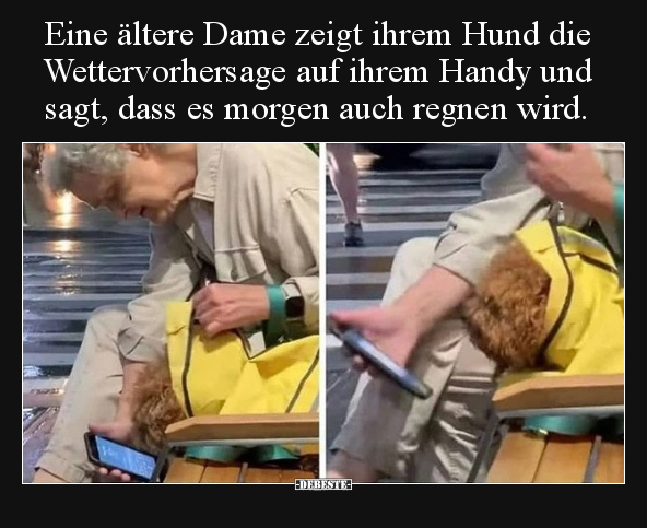 Eine ältere Dame zeigt ihrem Hund die Wettervorhersage auf.. - Lustige Bilder | DEBESTE.de
