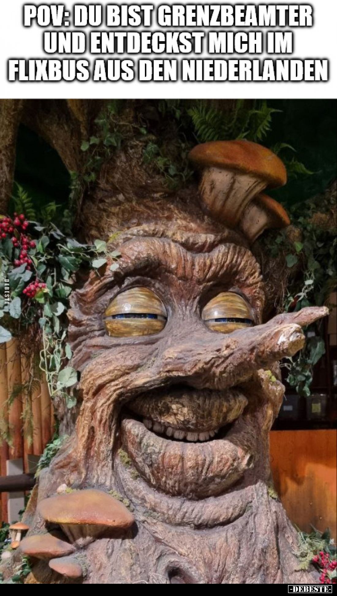 POV: Du bist Grenzbeamter und entdeckst mich im Flixbus aus den Niederlanden.