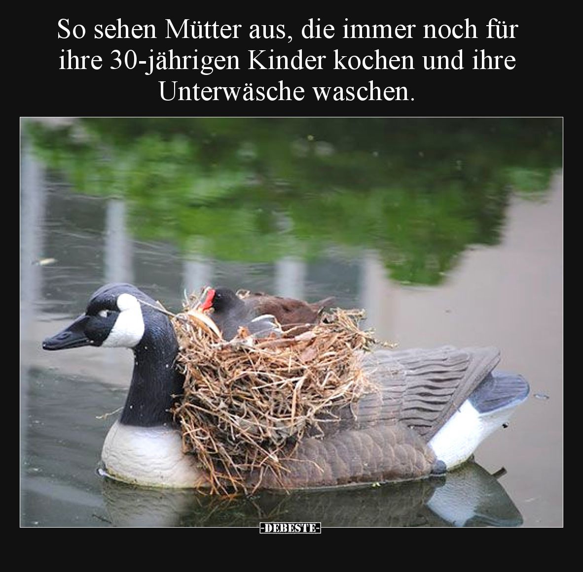 So sehen Mütter aus, die immer noch für ihre 30-jährigen.. - Lustige Bilder | DEBESTE.de