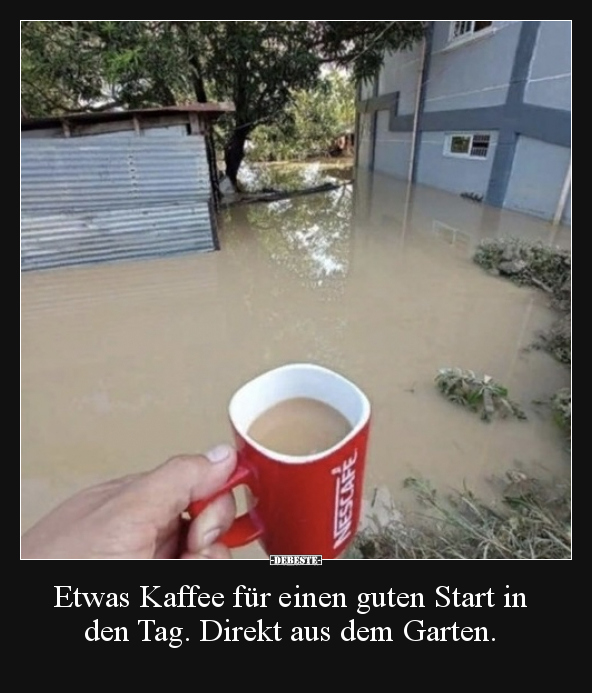 Kaffee, Start In Den Tag, Affe, Star