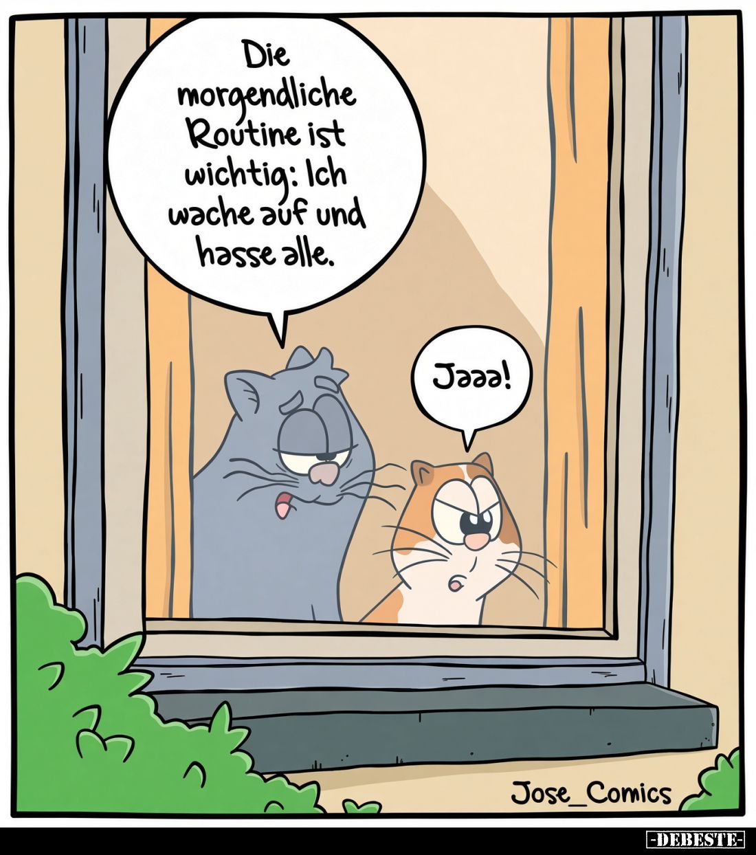 Die morgendliche Routine ist wichtig: Ich wache auf und hasse alle.
Jaaa!