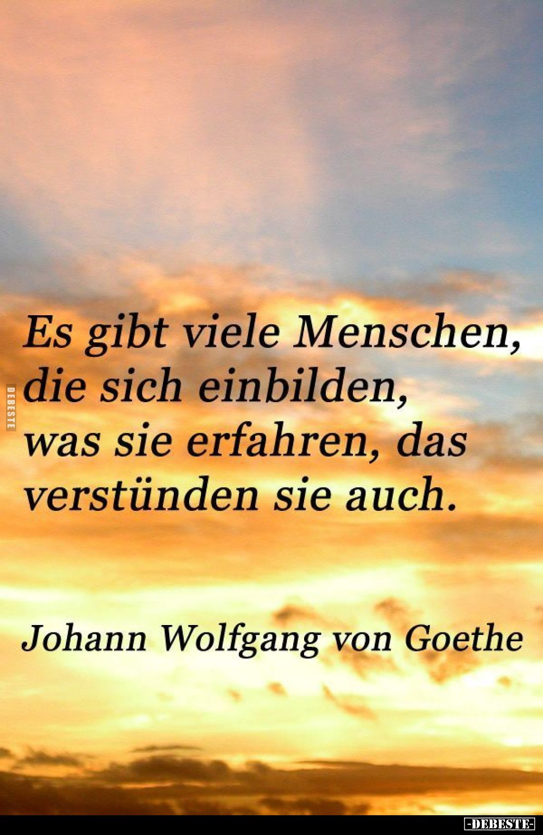 Es gibt viele Menschen, die sich einbilden, was sie erfahren, das verstünden sie auch.